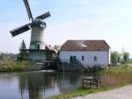 Molen_april_2010_John_Carp